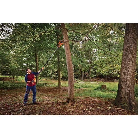 8 Amp 10 in. 2-in-1 Electric Pole Chainsaw