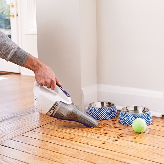 Dustbuster quick clean cordless pet hand vacuum with motorized upholstery brush cleaning floor.